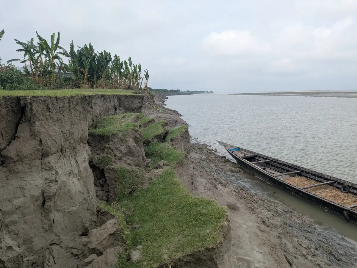 ওপরে কলাগাছ, নিচে কাঠের নৌকা—ভেঙে পড়ছে ঘাসে ঢাকা নদীর পাড়