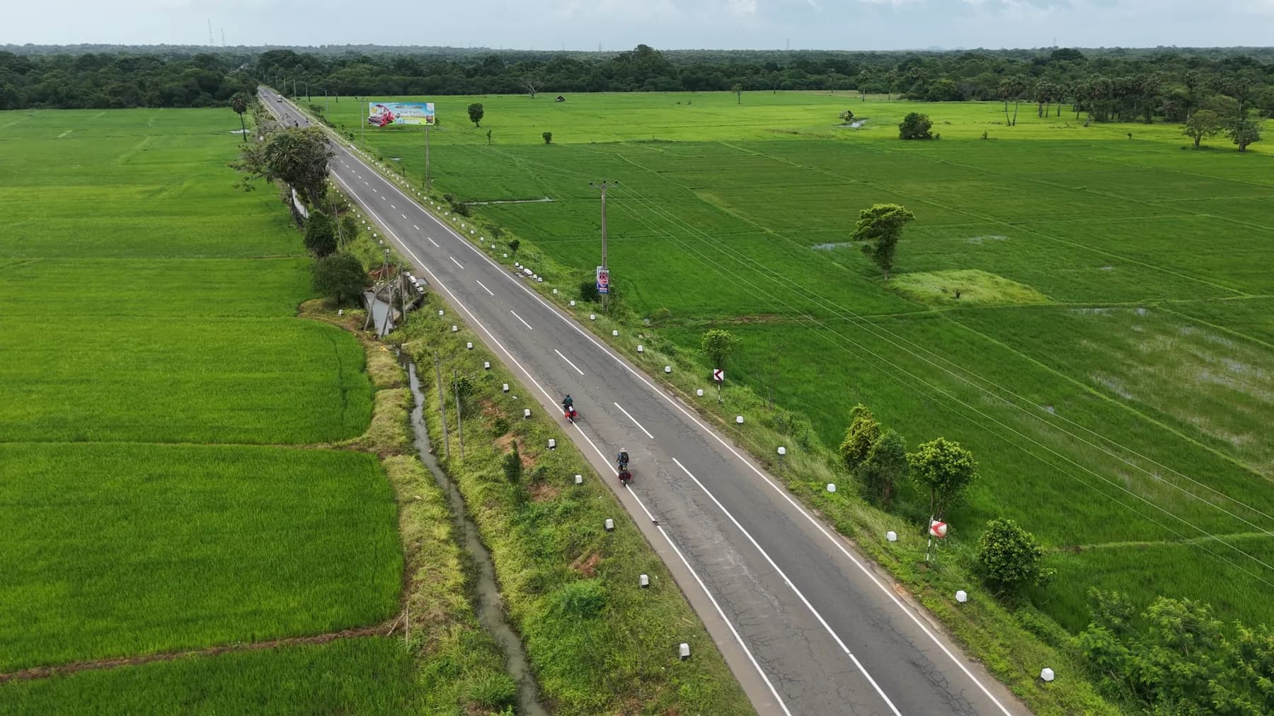 Two cyclists ride a straight road through vivid green rice fields in Sri Lanka
